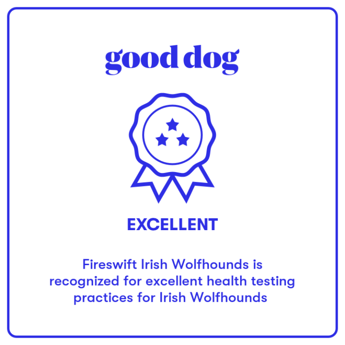 blue and white badge reads: Good Dog. Excellent. Fireswift Irish Wolfhounds is recognized for excellent health testing practices for Irish Wolfhounds